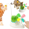 Fresh Cat Grass – Natural Fiber and Nutrient Boost for Healthy Digestion and Vitality