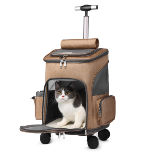 Cat Carriers – Comfortable and Secure Travel for Your Feline