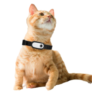 HD-1080P-Wireless-Collar-Camera-for-Cats
