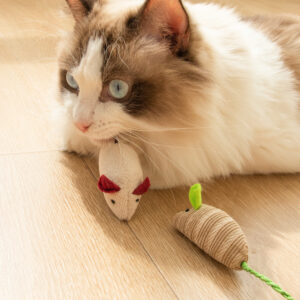 Cat Chewing Toy Simulation Mouse