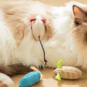 Cat Chewing Toy Simulation Mouse