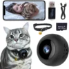 pet camera collar